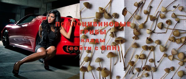стафф Сосновоборск
