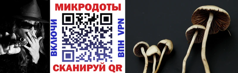 Псилоцибиновые грибы Psilocybine cubensis  даркнет сайт  Няндома 